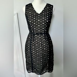 NWOT❗️The Limited Black Eyelet Dress